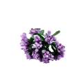 CottonCord – kopia.png