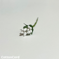 CottonCord – kopia.png