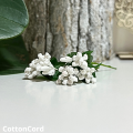 CottonCord – kopia.png