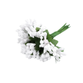 CottonCord – kopia.png
