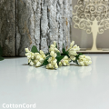 CottonCord – kopia.png