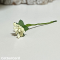 CottonCord – kopia.png