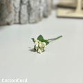 CottonCord – kopia.png