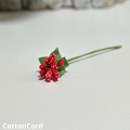 CottonCord – kopia.png