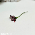 CottonCord – kopia.png