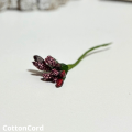 CottonCord – kopia.png