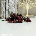 CottonCord – kopia.png