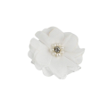 CottonCord – kopia.png