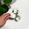 CottonCord – kopia.png