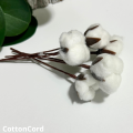 CottonCord – kopia.png