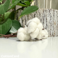 CottonCord – kopia.png