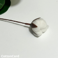 CottonCord – kopia.png