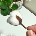 CottonCord – kopia.png