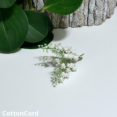 CottonCord – kopia.png