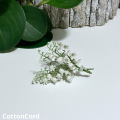 CottonCord – kopia.png