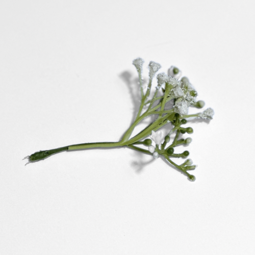 CottonCord – kopia.png