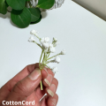 CottonCord – kopia.png