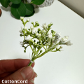 CottonCord – kopia.png