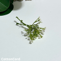 CottonCord – kopia.png