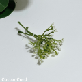 CottonCord – kopia.png