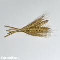 CottonCord – kopia.png