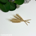 CottonCord – kopia.png