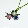 CottonCord – kopia.png