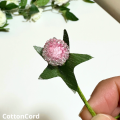 CottonCord – kopia.png