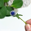 CottonCord – kopia.png