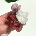 CottonCord – kopia.png