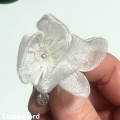 CottonCord – kopia.png