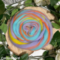 CottonCord – kopia.png