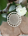 CottonCord – kopia.png