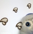 CottonCord – kopia.png.jpeg