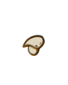 CottonCord – kopia.png