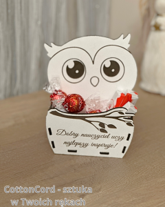 Drewniany Koszyczek dla nauczyciela – Sowa | Biała Płyta HDF 16,5 cm 