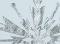 IMG_4890.jpeg