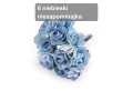 IMG_1262.jpeg
