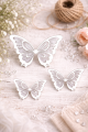 1ACFBEEB-4753-4974-AB5D-F3DD047C7CA2.png