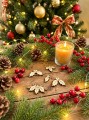 IMG_2445.jpeg