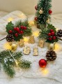 IMG_2491.jpeg