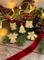 IMG_2524.jpeg