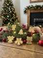 IMG_2526.jpeg