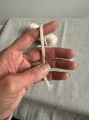 IMG_4261.jpeg