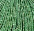 IMG_5001.jpeg